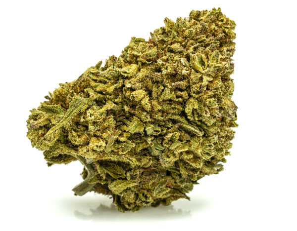 GORILLA GLUE Cogollos CBD Indoor