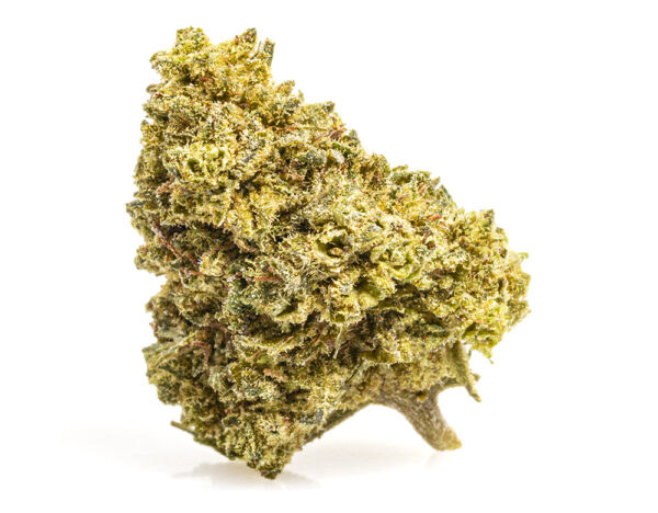 GELATO CBD BOOST Flores CBD