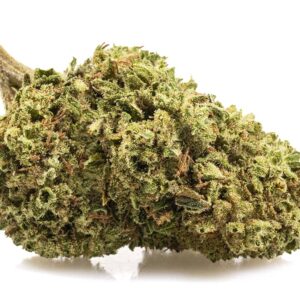Flores Indoor BUBBLEGUM Cogollo
