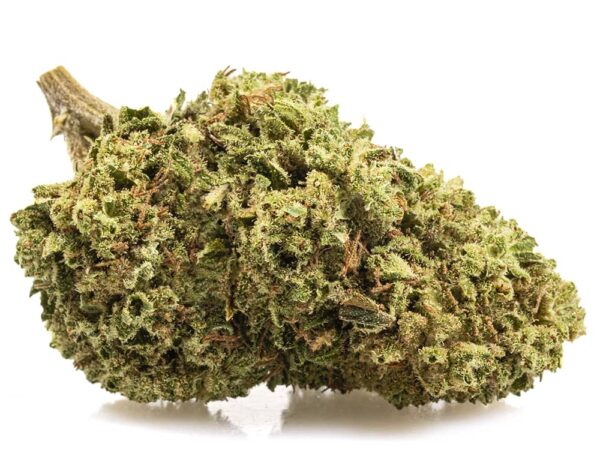Flores Indoor BUBBLEGUM Cogollo