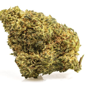 Flores CBD MASTER KUSH Cogollo Greenhouse