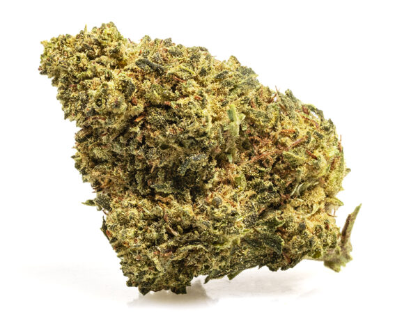 Flores CBD MASTER KUSH Cogollo Greenhouse