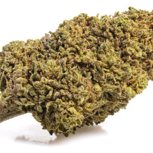 MANGO CBD BOOST Cogollos CBD Indoor
