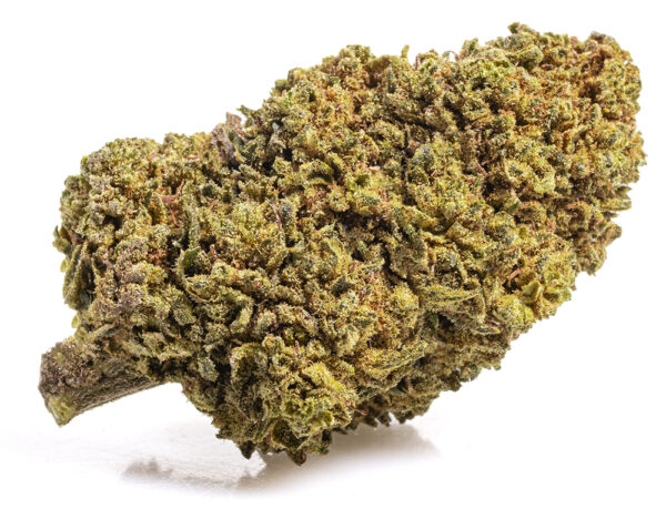 MANGO CBD BOOST Cogollos CBD Indoor