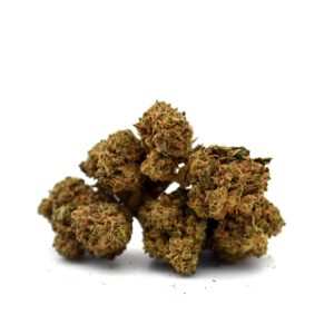 Amnesia Small Buds Greenhouse