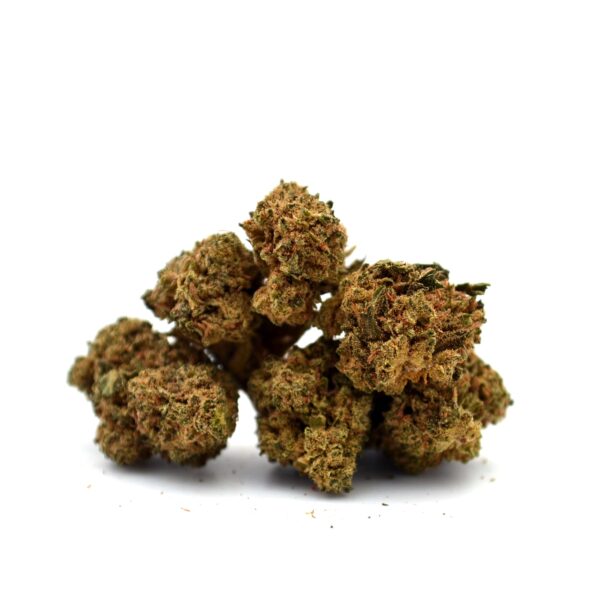 Amnesia Small Buds Greenhouse