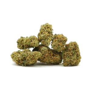 Flores CBD Orange Bud Greenhouse