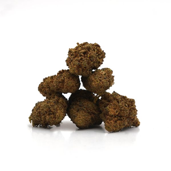Small Buds OG Kush Greenhouse
