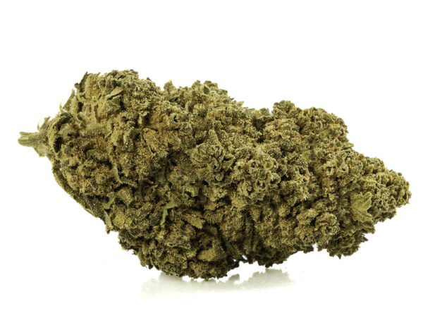 WHITE WIDOW Cogollos CBD