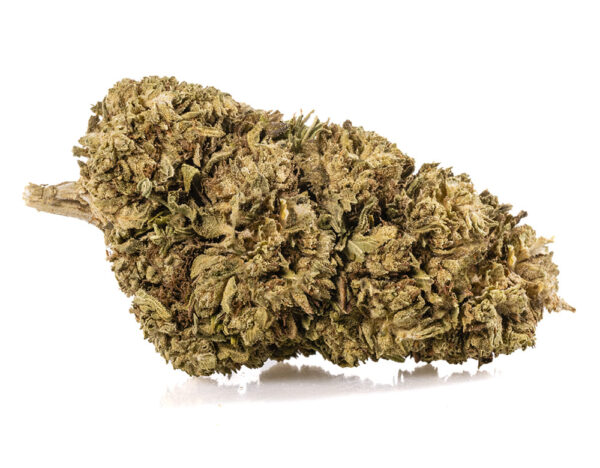 OUTDOOR MIX Cogollos CBD Greenhouse