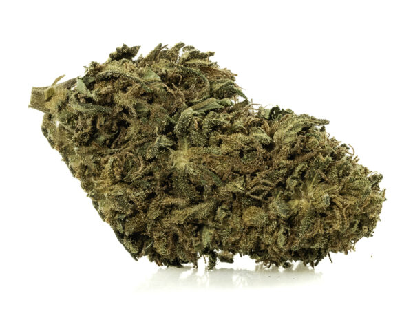 SWEET BERRY Flores CBD Glasshouse