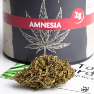 Flor CBD Amnesia 2Gr AD.Mont