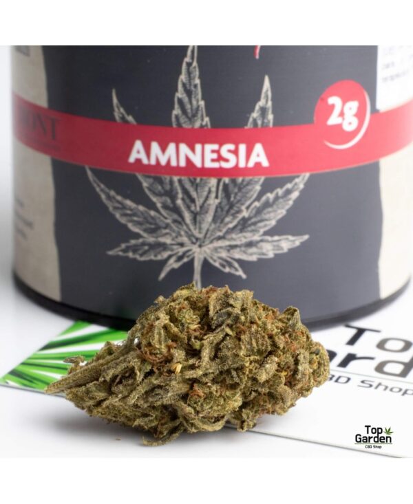 Flor CBD Amnesia 2Gr AD.Mont
