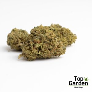 Flor CBD Amnesia Haze