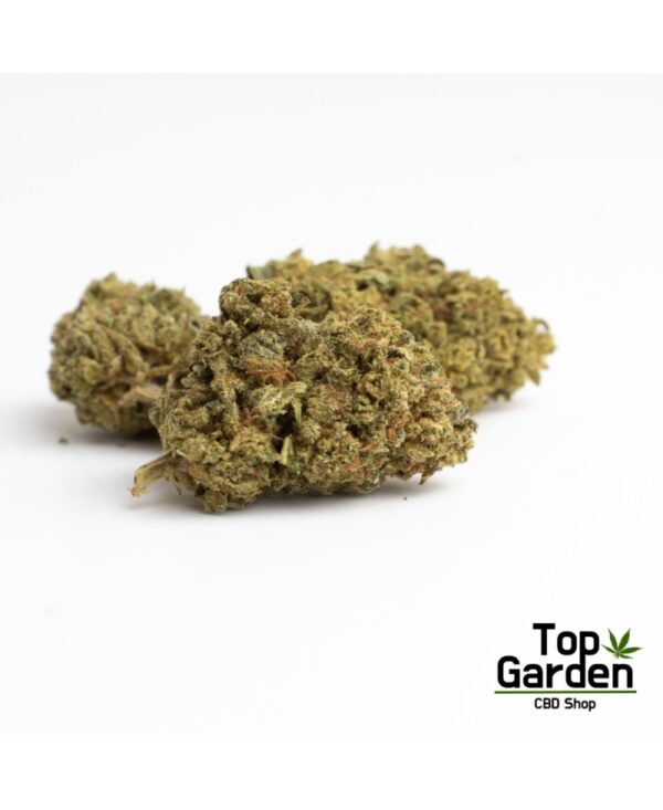 Flor CBD Amnesia Haze