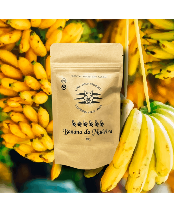 Flor CBD Banana da Madeira Lynx Hemp