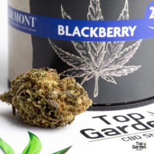 Flor CBD Blackberry 2Gr AD.Mont