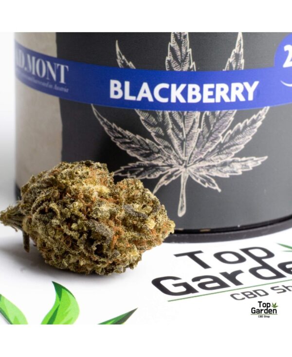 Flor CBD Blackberry 2Gr AD.Mont