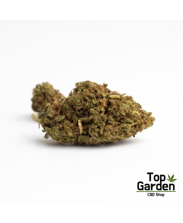 Flor CBD Carmagnola