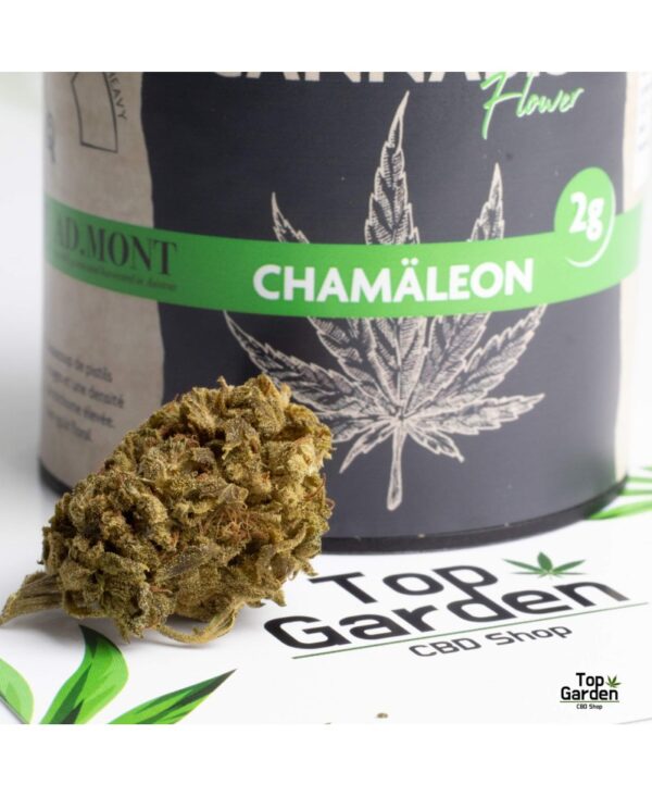Flor CBD Chamäleon 2Gr AD.Mont