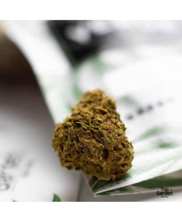 Flor CBD OG Kush