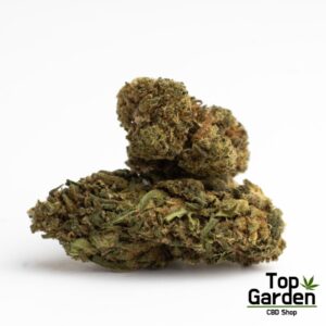 Cogollos CBD Orange Bud