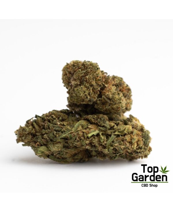Cogollos CBD Orange Bud