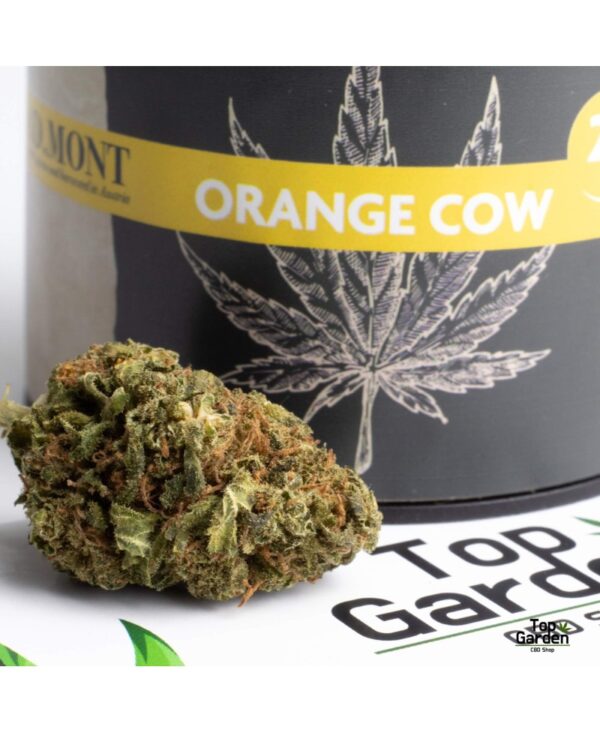Flor CBD Orange Cow 2Gr AD.Mont