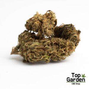 Flor CBD Therapy