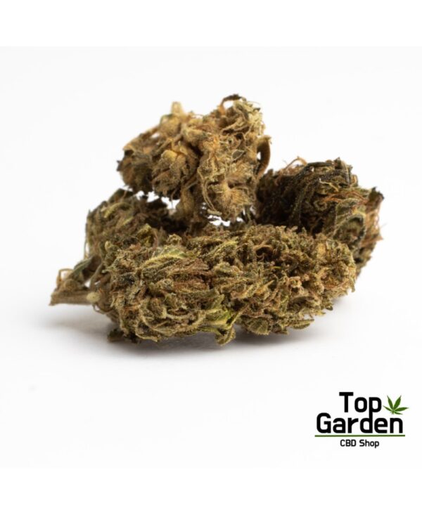Flor CBD Therapy