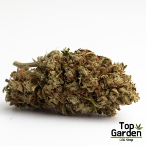 Cogollos CBG Cannatonic