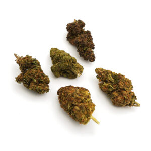 Pack de Flores CBD