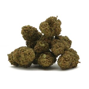 Cogollos CBD Zkittlez Greenhouse